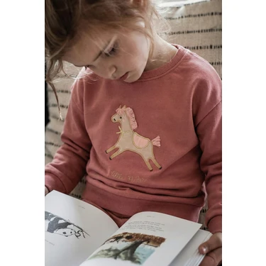 At Aplikeli Sweatshirt 1-6 Yaş Gül