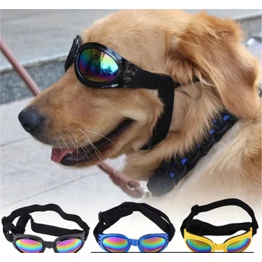 Köpek Güneş Gözlüğü- Uv