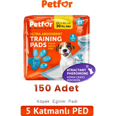 Petfor Köpek Eğitim Pedi 60X90 150