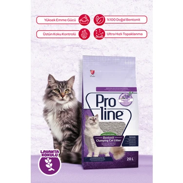 Proline 20 lt Lavanta Kokulu Bentonit Topaklanan Kedi Kumu Ultra Hızlı Topaklanma