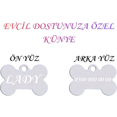 Store İsme Özel Çelik Kedi İsimlik Renk Renk İsme Özel Kedi Künyesi Kedi İsimlik Köpek