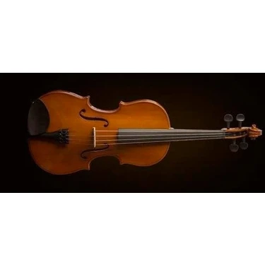 Valencia VA16038 Viyola 15 Inç (Öğrenci Seti) | 38 cm - Orta Boy - Yay ve Kutu