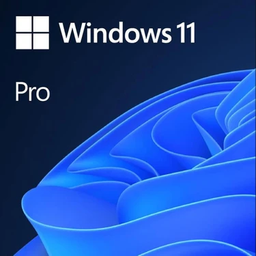 Microsoft Windows 11 Pro Lisans 32BİT/64BİT Türkçe USB Sürüm ile Hızlı