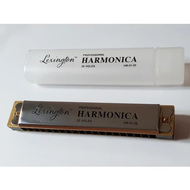 Lexington Hm0120 Mızıka 20 Delik Şeffaf Kutulu