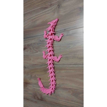 Drgon