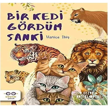 Skygo Bir Kedi Gördüm
