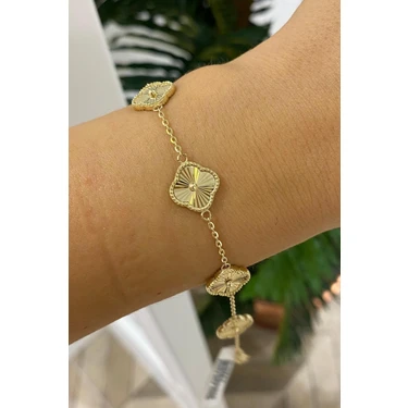 Gold Çizgili Premium Çelik