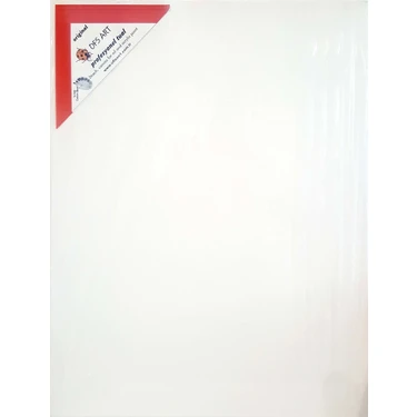 Ofis Art 20 x 20 cm Profesyonel Tuval 2 x 4