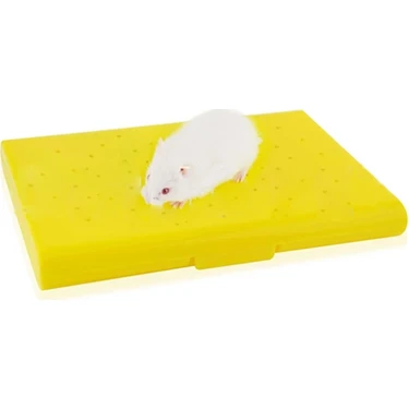 Carno Hamster Yatağı Soğutucu Buz Torbalı 14 x 10 x