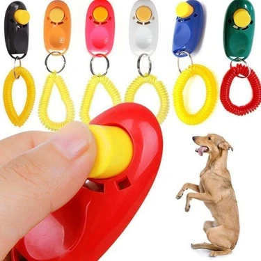 Lion Köpek Eğitim Için
