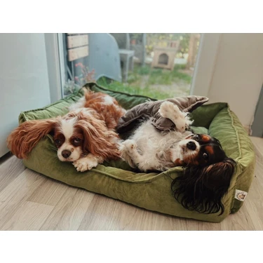 Patili Evler Köpek Yatağı Büyük Boy 65X85 cm Karışık Renklerde
