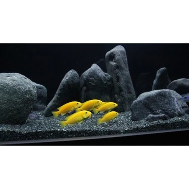 Dutak Akvaryum Kumu Bazalt 5 kg (1-3 Mm) - (2-4 Mm) Bitki