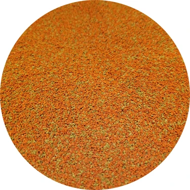 Amore Tropical Balık Yemi 100 gr, Lepistes, Canlı Doğuran, Melek,