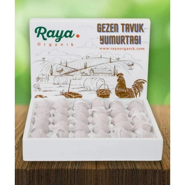 Raya Organik Gezen Tavuk
