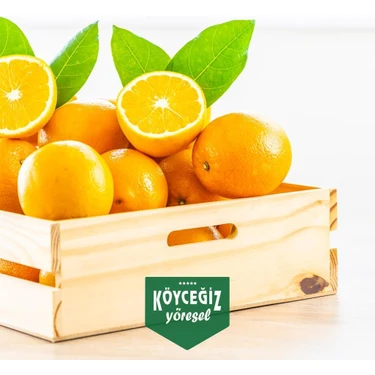 Köyceğiz Yöresel Portakalı 8 kg Taze Meyve Türkiye Menşeli Eşsiz