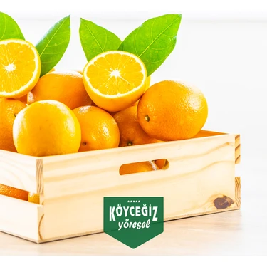 Köyceğiz Yöresel Portakal 4 Kg Doğal ve Lezzetli Meyve Türkiye