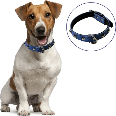 Aesco Mey Ithalat®  Yumuşak Dokulu Deri Köpek Gezdirme Boyun Tasması
