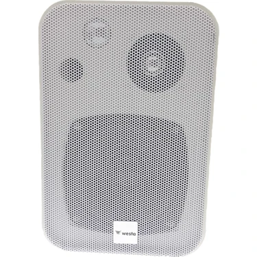 İntec Westa WM-305TW Trafolu Sütun Hoparlörü 100 Watt