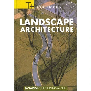 T+ Landscape