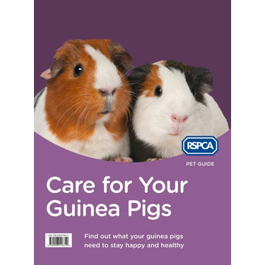 Delixa Your Guinea
